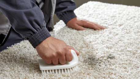 Professional Rug Cleaning Black Rock